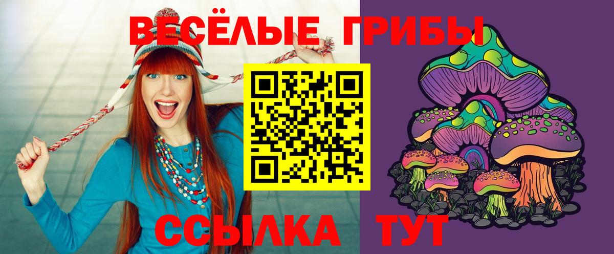 Димитровград  закладки  Вход с VPN  Псилоцибиновые грибы мухоморы 