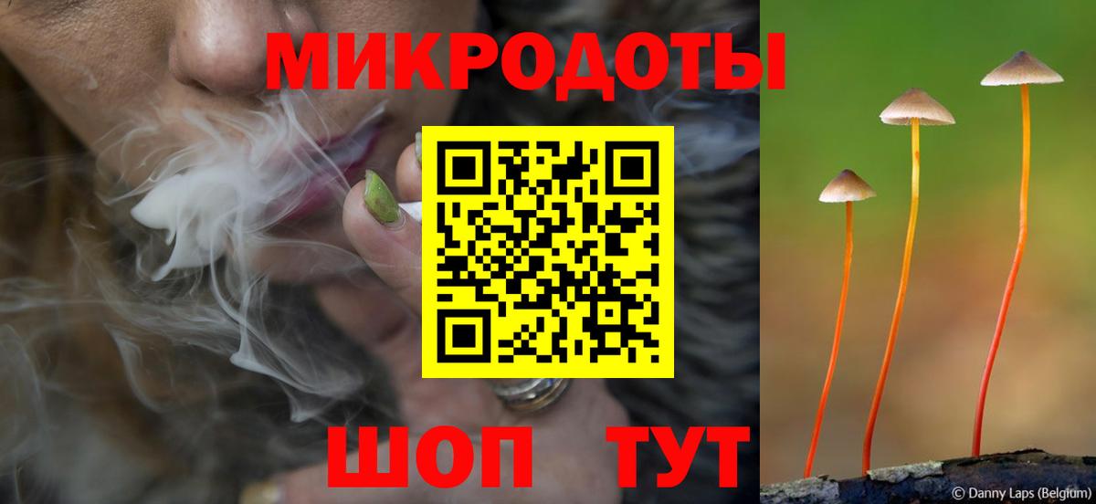Галлюциногенные грибы ЛСД Димитровград